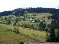 gal/dobre/_thb_P8241289.JPG