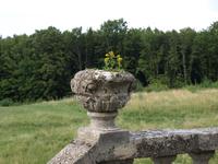 gal/pidgirtzi/_thb_P8066677.JPG